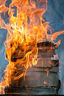Die Bilder der Bücherverbrennung lösen noch immer Grauen in uns aus.