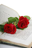 Zum Welttag des Buches zeigen Sie mit Büchern und Rosen, was Ihnen Menschen bedeuten.