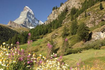 Alpen Matterhorn Sommer