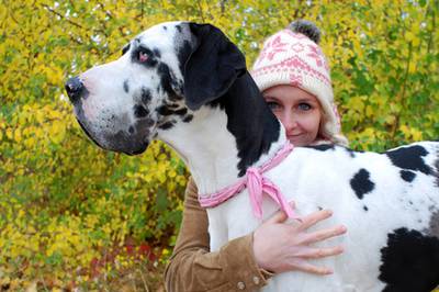 Frau kuschelt mit Hund bei Hundeerziehung