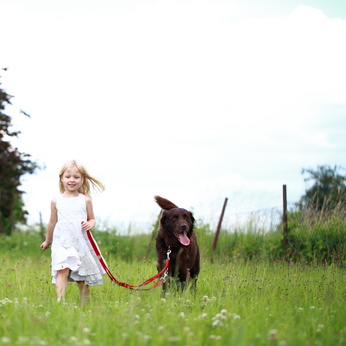 Kinderleichte Hundeerziehung: Mädchen mit Hund