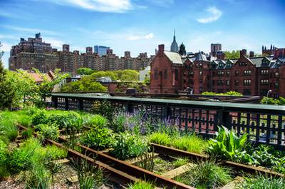 Urban Gardening New York